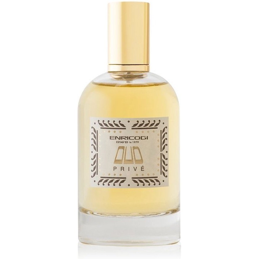 Uniseks Parfum Enrico Gi EDP Oud Prive (100 ml)